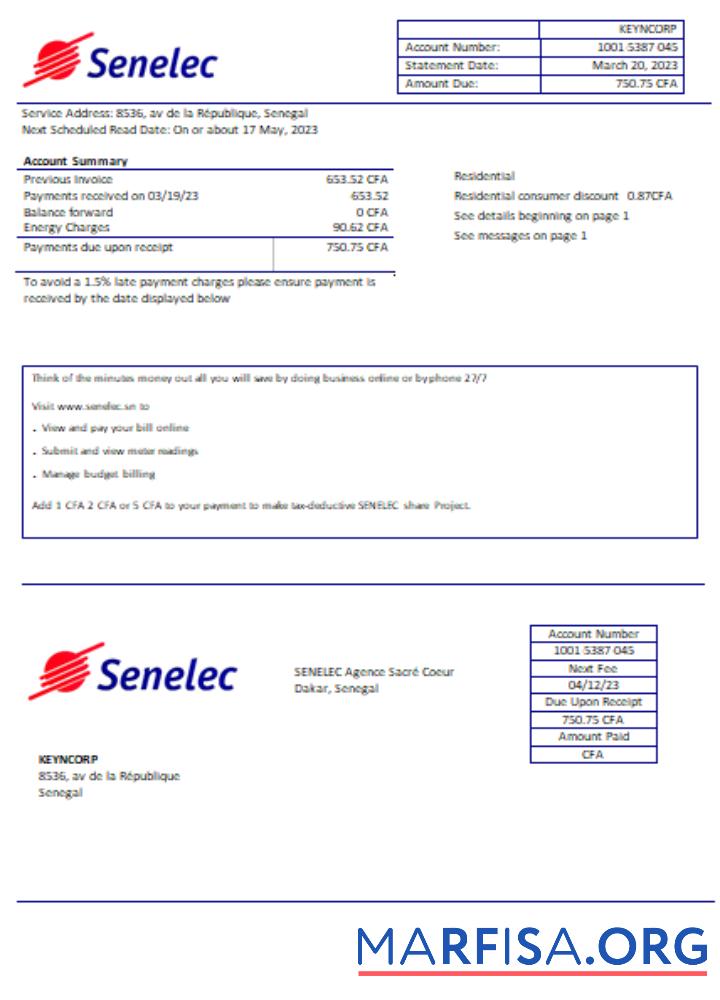 Printable Senelec Agence Sacré Coeur Company electricity utility business bill, SCR example